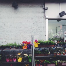 brooklyn flower shop | love wins